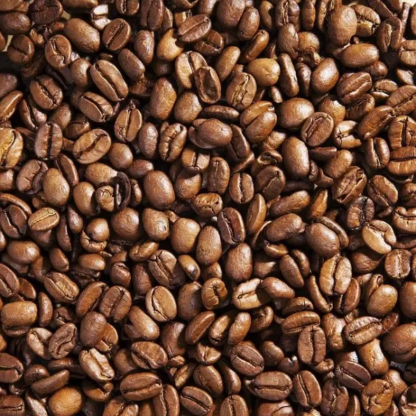Arabica